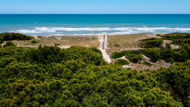 Pineta di Petacciato in provincia di Campobasso in Molise