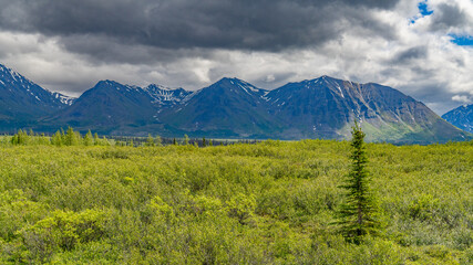 Obraz premium Alaska mountains, glacier, forest, view of Homer spit
