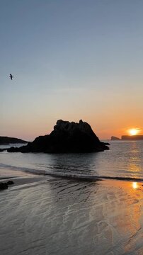 Vertical footage of a seagull flying above calm ocean water during soft sunrise light with smooth camera movement. Warm reflections and gentle ocean motion create a peaceful coastal atmosphere.