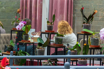An indoor café or restaurant seating area beautifully decorated with numerous potted orchid plants. Lifestyle © Four_Lakes
