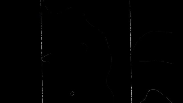 damaged old film overlay, with vertical scratches, heavy dust and noise, black and white grunge texture, retro projector dirt background, vintage glitch effect loop