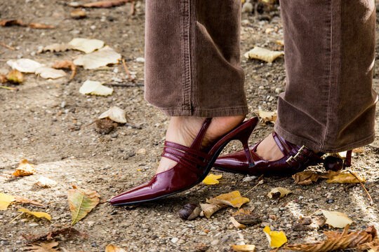 Chaussures &eacute;l&eacute;gantes 