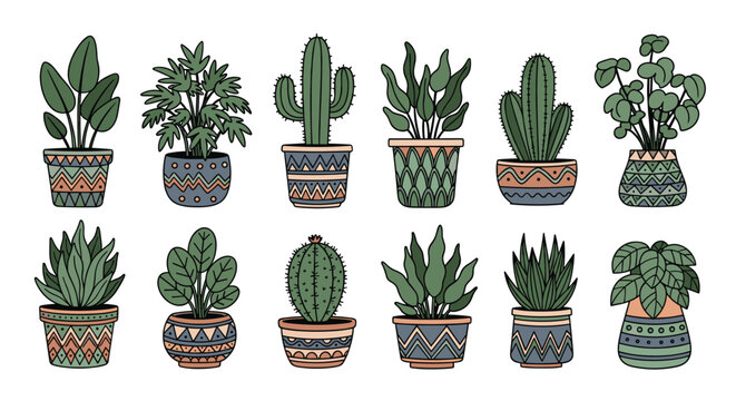 Selection of twelve different potted houseplants including cacti and succulents in decorative ethnic patterned containers.