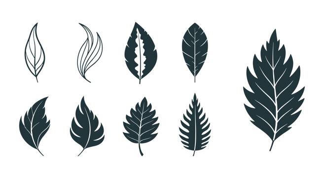 Set of black leaf silhouettes and line drawings in various shapes from simple to complex against a white background.