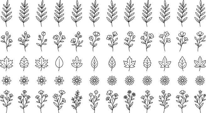 Botanical icon illustrations with leafy branches, floral stems, daisy flowers, plant motifs, nature graphics, and vector design concepts