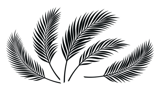 Black and white palm frond illustration set for tropical design elements