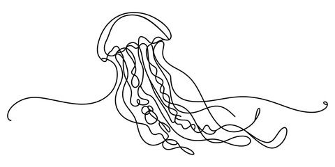 Minimalist jellyfish line art, continuous one-line drawing, black ink illustration, marine animal design © SHANTO