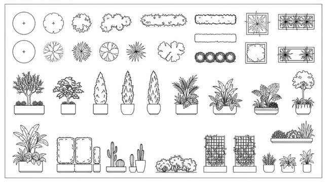Architectural Landscape CAD Plant Block Collection With Top View Trees, Shrubs and Planter Elevations

