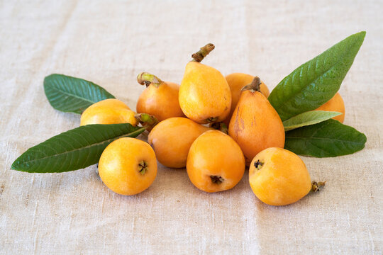 Loquats fruits with green leaves 