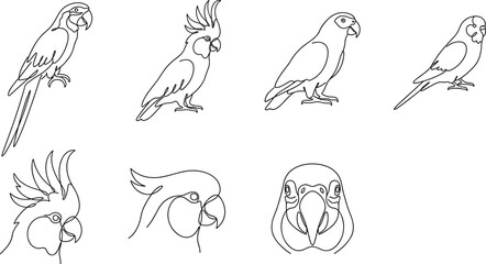 Continuous One Line Parrot Vector Outline Set Featuring Minimalist Macaw Crested Cockatoo and Budgie Profiles for Tropical Bird Brand Logos © Mustak