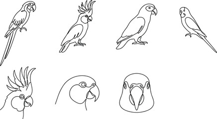 Continuous One Line Parrot Vector Art Set Featuring Minimalist Macaw Cockatoo Parakeet and Budgie Outlines for Modern Tropical Logo Designs © Mustak