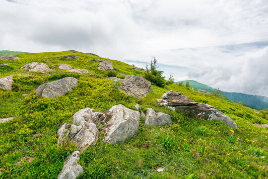 green landscape of mountain in summer. view of rock among grass on the hillside. travel background under a cloudy sky. carpathian mountain scenery with rolling hills