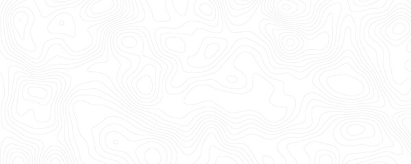 Topography background. Vector banner. Topography background. Vector geographic contour map. Background of the topographic map. Topographic map lines, contour background. © saputra julian