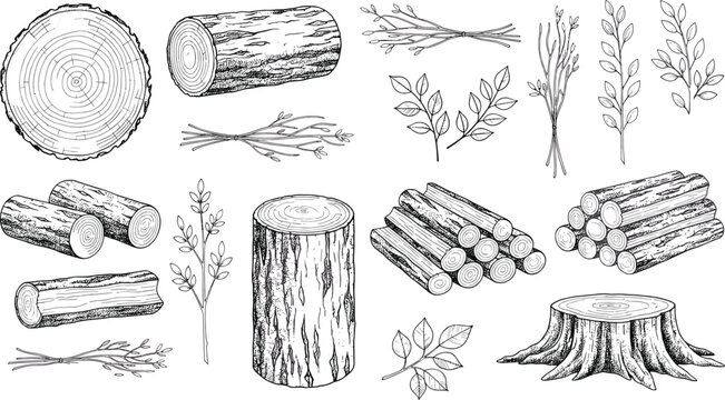 Detailed black and white vector illustrations of tree trunks, logs, branches, sticks, and stumps with natural textures