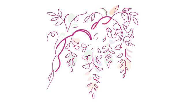 Delicate wisteria branch vector with purple floral clusters and adjustable outlines. Minimalist botanical line art featuring modifiable stroke weights for sophisticated graphic design.