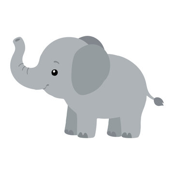 Cute gray elephant flet illustration for children, zoo, safari, travel and nursery design