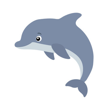 Cute dolphin illustration for ocean, travel, aquarium, nursery and children design flet