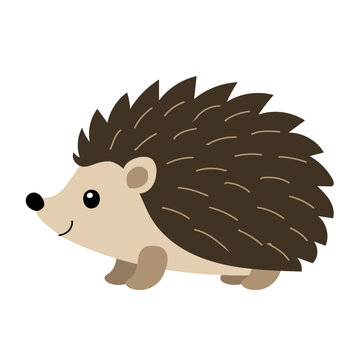 Cute hedgehog illustration for forest, nursery, woodland, children and autumn design flet