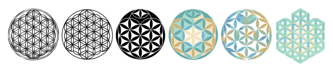 Obraz premium Flower of Life sacred geometry symbol in various styles including outline, filled, colored, low poly, and isometric 3D vector illustration