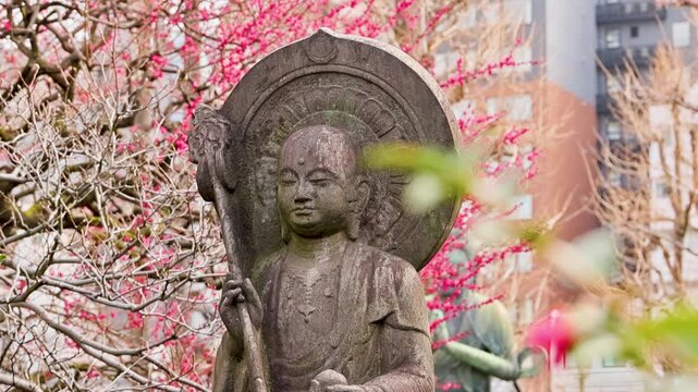 Slide Shot Of Jizo Statue With Spring Blossoms Sensoji Temple Tokyo Japan