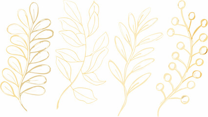 Golden botanical line art illustration featuring various leaf and berry branch designs on a white background drawing foliage plant life flora © Chapala