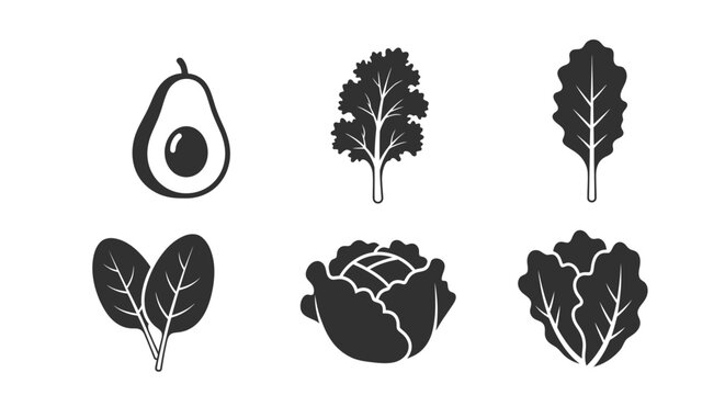 Vegetable icons including avocado kale lettuce and spinach on white background for healthy food concepts