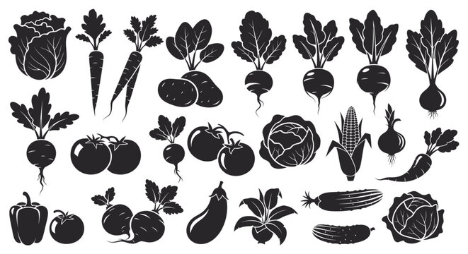 Variety of fresh vegetables in black silhouette on white background including carrots beets cabbage and more for healthy eating and cooking concepts