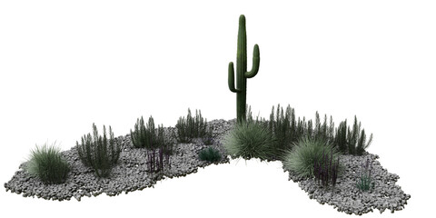 Desert terrain with cactus and dry vegetation isolated on transparent background. 3D rendering. © snesivan