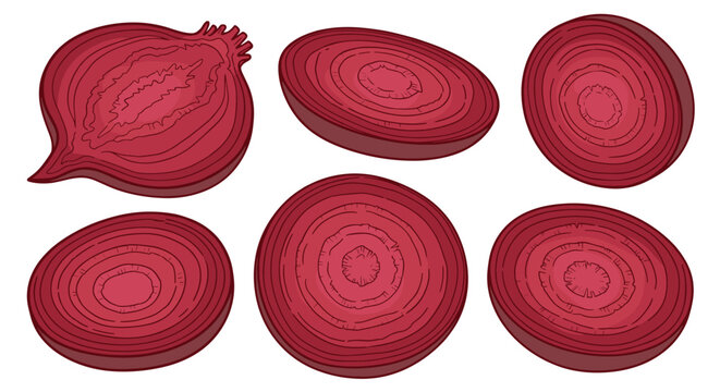 Group of six beet slices and half a beet show the intense deep red color and circular rings of this healthy root vegetable.