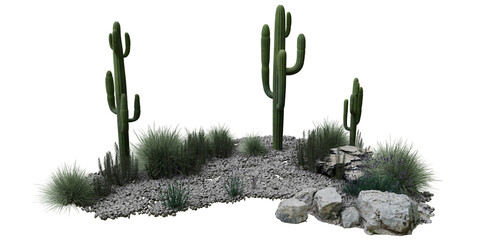 Desert terrain with cactus and dry vegetation isolated on transparent background. 3D rendering. © snesivan