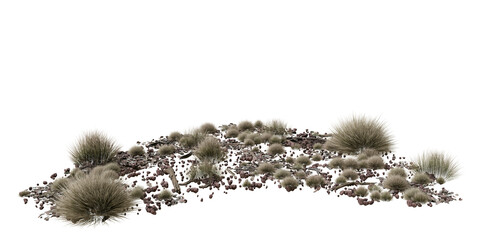 Desert terrain with dry grass and rocks isolated on transparent background. 3D rendering. © snesivan