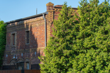 Old brick building partially hidden by lush green trees. Sunlight highlights weathered walls and decorative cornice. Perfect for architectural, urban decay, or nature-themed projects © Jakob