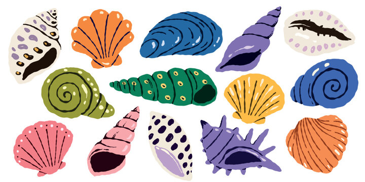Colorful sea shells vector set. Aquatic mollusk conch collection for summer design, textile prints, beach wrapping paper and seamless patterns. Isolated ocean elements.
