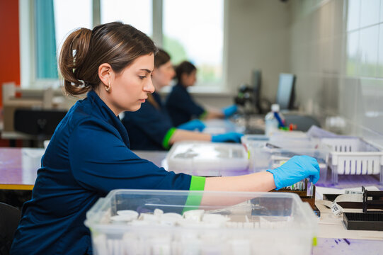 White Female Technician Packaging Vials Bench, Wearing Blue Gloves And Navy Uniform, Focused On Quality
