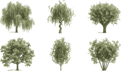 Fototapeta premium Varied green shrubs and small bushes collection landscaping design pack
