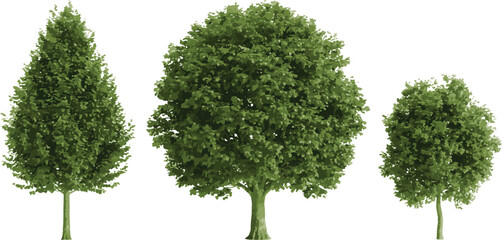 Green broadleaf trees row pack nature environment landscape elements © Neural Nexus