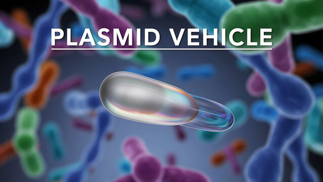 Genetic engineers study a plasmid vehicle carrying DNA molecule for biotechnology research in a microbiology lab.