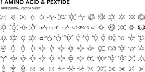Fototapeta premium Amino acid and peptide structures provide a professional vector reference for chemical and biological researchers.