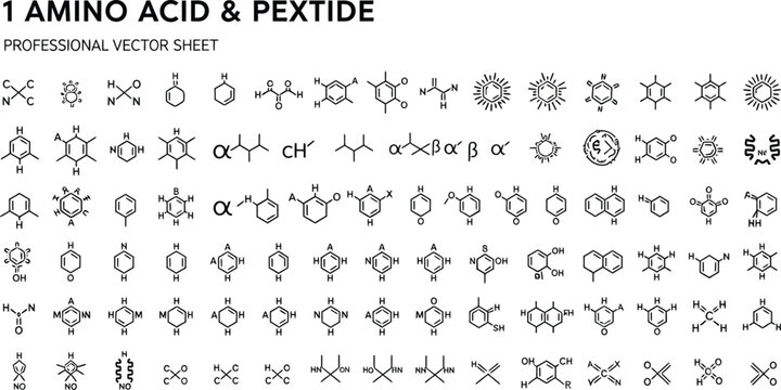Amino acid and peptide structures provide a professional vector reference for chemical and biological researchers.