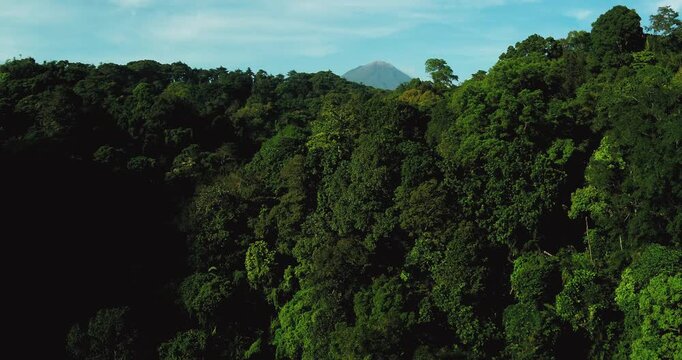 Drone flying above tropical forest with sunlight breaking through clouds