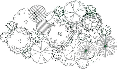 Landscape design elements, top view of various trees and shrubs for architectural plan, vector illustration © SampaRani