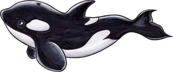Isolated stylized markers illustrations of orca © Spirit Mouse