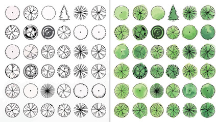 Fototapeta premium Set of various tree top view symbols for architectural landscape design, plan view of trees, vector illustration