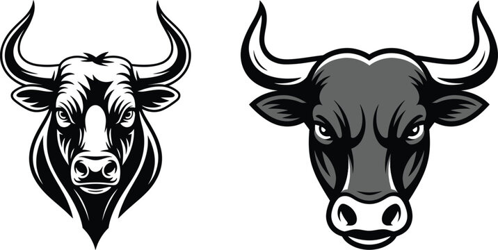 Two powerful bull heads one detailed drawing and one stylized icon black and white strength bullfighting livestock illustration stylized aggressive