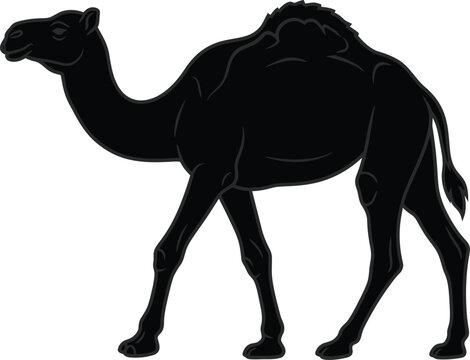 Black silhouette of a camel walking isolated on transparent background