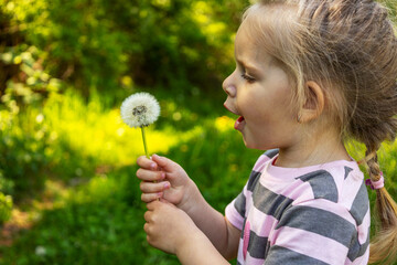 Little girl blowing dandelion in the park, happy childhood summer concept © Anna