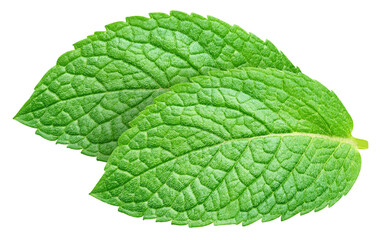 Green mint leaves set isolated on transparent background. Mint leaves set isolated with PNG © URSA Star