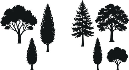 Fototapeta premium Tree silhouette collection with six diverse botanical designs including coniferous, deciduous, columnar, and rounded forest variations