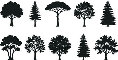 Fototapeta premium Tree silhouette collection with ten diverse botanical designs including coniferous, deciduous, palm, and columnar forest variations