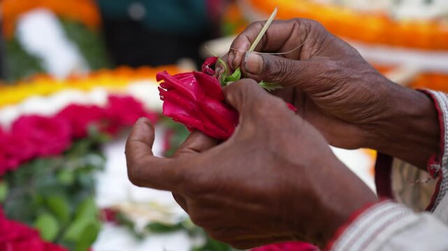 Bogura, Bangladesh - 03 October 2023: View of hands carefully arranging red roses and colorful marigolds into a decorative floral pattern during a traditional ceremony.
